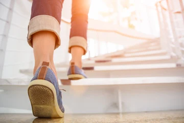 Steps to Follow