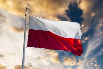 Other parent in Poland